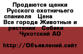 Продаются щенки Русского охотничьего спаниеля › Цена ­ 25 000 - Все города Животные и растения » Собаки   . Чукотский АО